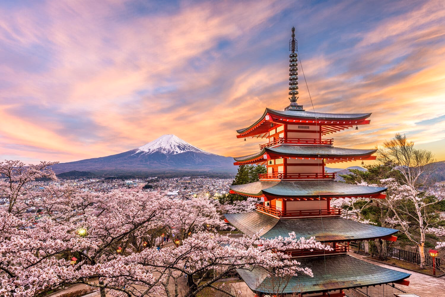 Book Hotels in Tokyo